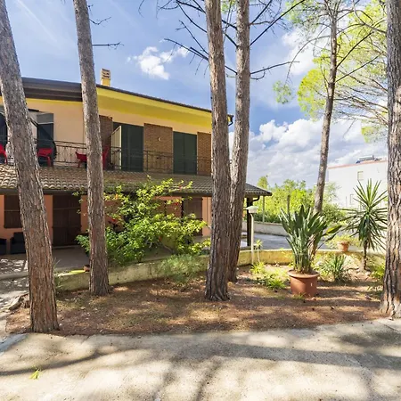 Su Entu A Mari Museddu Cardedu