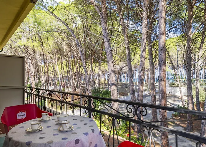 Su Entu A Mari Museddu Cardedu